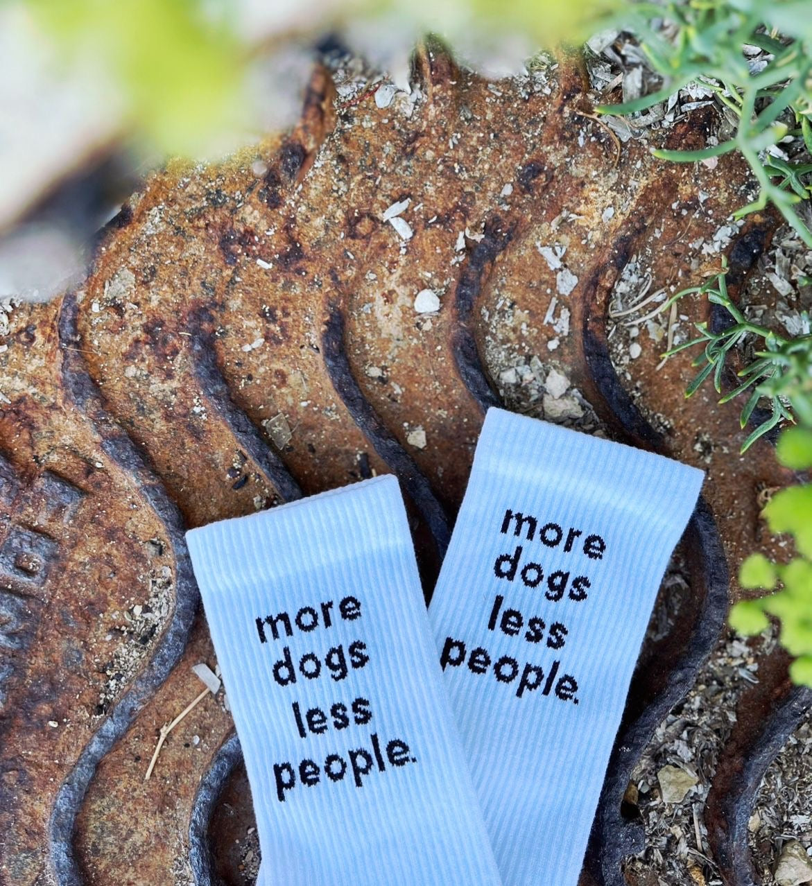 more dogs less people.