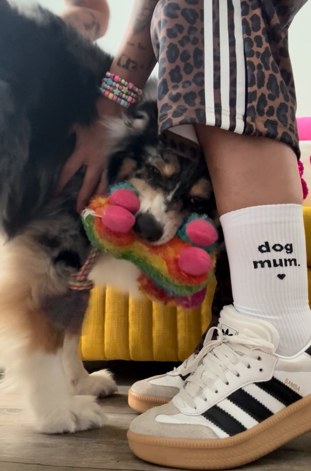 dog mum.