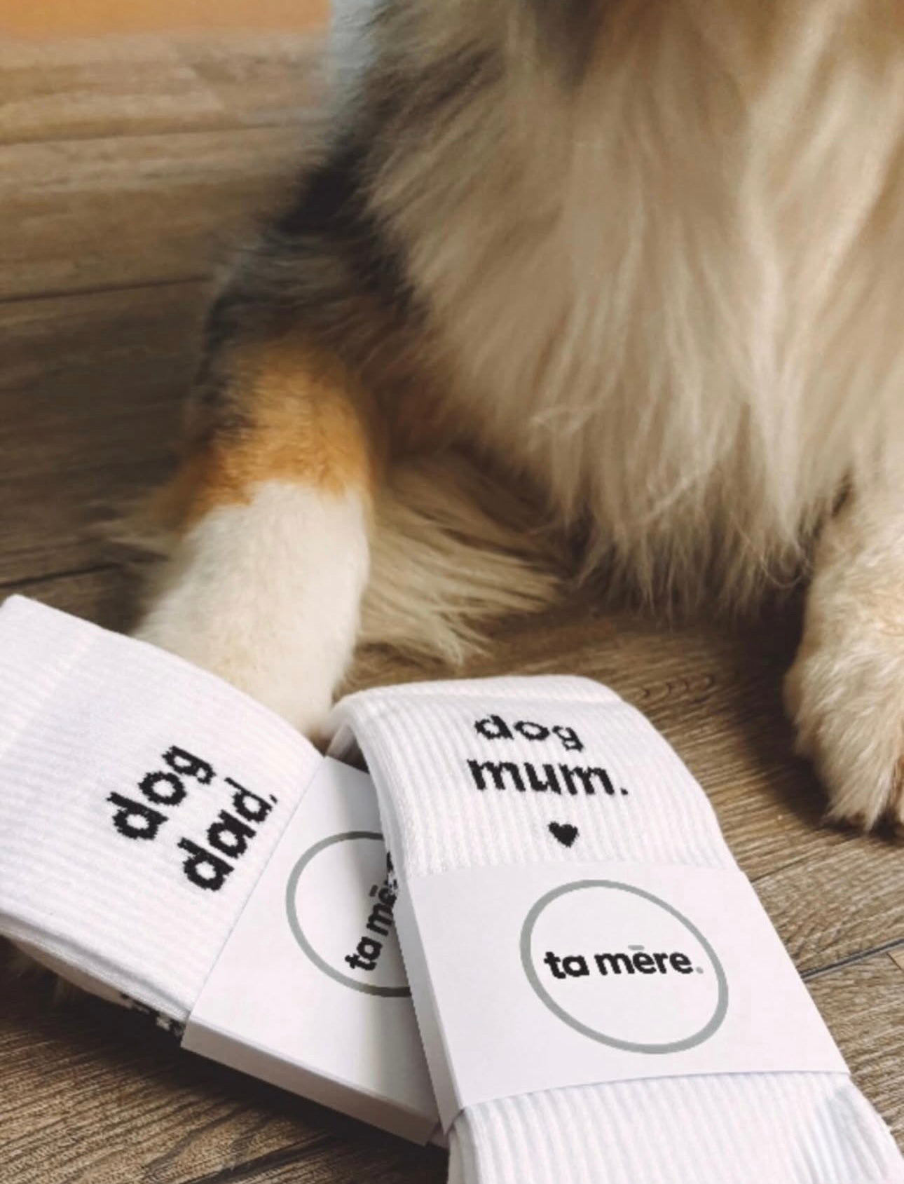 dog mum.